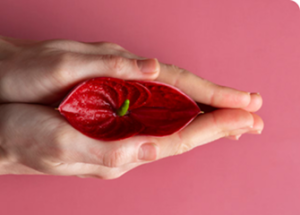 Как выбрать идеальное средство для интимного ухода Копировать